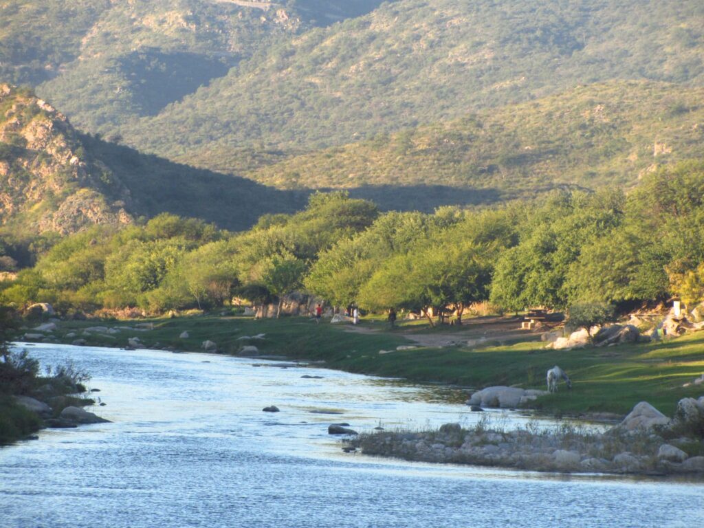 whatsapp image 2025 10 06 at 2.44.12 pm